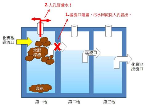 化糞池構造圖解|化糞池系統:發展現狀,基本原理,主要構造,主要作用,存在的問題,建。